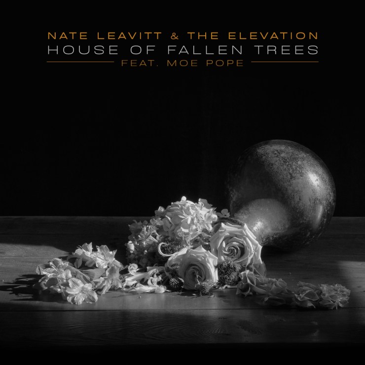 nateleavitt-singles-house-moe